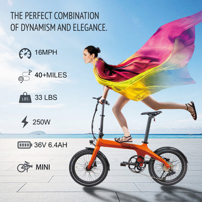 IGOGOMI Eole S   36V / 6.84Ah  Carbon Fiber folding  E-Bike （open box)
