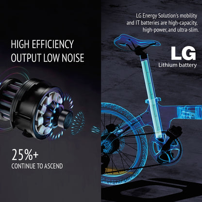 IGOGOMI Eole S   36V / 6.84Ah  Carbon Fiber folding  E-Bike （open box)